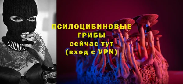 apvp Алексин