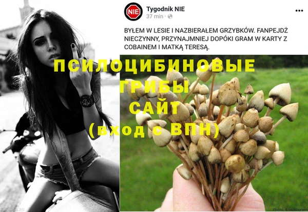 тгк Алзамай