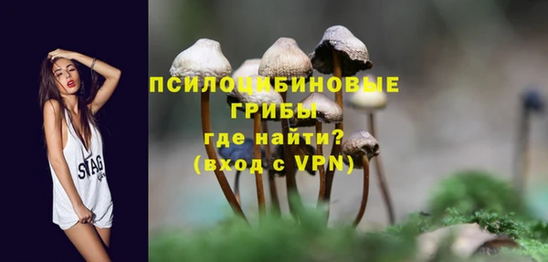 apvp Алексин