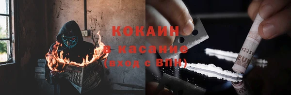 тгк Алзамай
