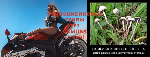 тгк Алзамай