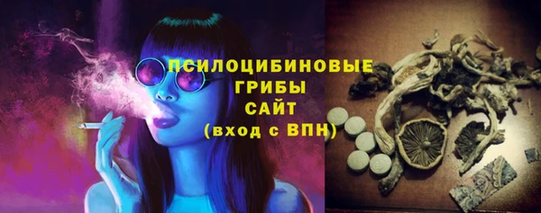 первитин Алексеевка