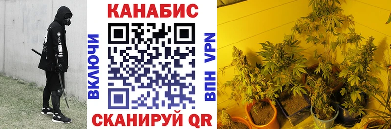 Марихуана SATIVA & INDICA  Нововоронеж 